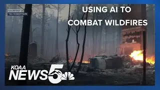 Using AI to combat Wildfires