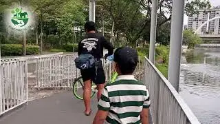 🌿Visit to Punggol Waterway Park