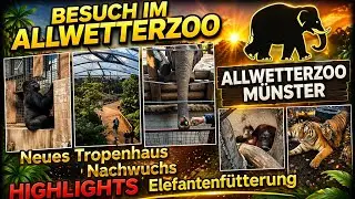 🐾 Allwetterzoo Münster – Alle Highlights! 🦁🐘 Neues Tropenhaus & süße Tierbabys!