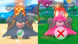Finally! Got Shiny Mega Camerupt | Sick! After 50 Raids