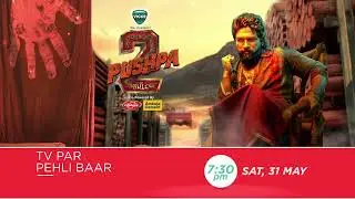 Pushpa 2: The Rule | TV Par Pehli Baar | 31st May, Sat, 7:30 PM | Promo | Zee Cinema