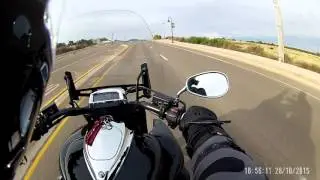 Bird Strike Near Miss