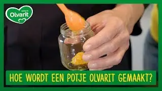 HOE wordt BABYVOEDING GEMAAKT? #HAPSGEWIJS