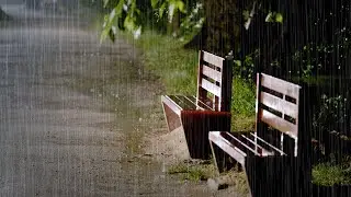 [ASMR] Rainy Night on a Park Bench｜Soothing Rain Sounds for Sleep & Relaxation