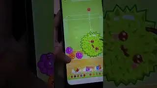 #shortvideo #masukberanda #shopee fruit