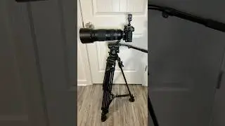 Outdated Nikon Z6 WILDLIFE rig!!