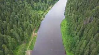 Aerial view the river on green forest plain. Clip. Aerial view of forest the river during summer day