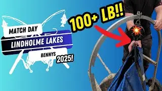 Live Match Fishing at Lindholme Lakes | Bennys | 100lb PLUS!!