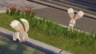 2 full odds shiny Bunnelby