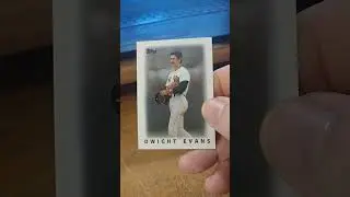 Dwight Evans MLB Baseball Card