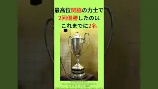2名のみ！2回優勝した最高位関脇の力士　#shorts #大相撲 #相撲 #力士 #関脇 #三役 #幕内 #優勝 #優勝回数 #平幕優勝 #平幕 #最年長 #記録 #本場所 #番付 #琴錦 #玉鷲