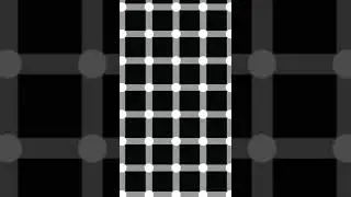 Black or White Dots Optical Illusion #shorts