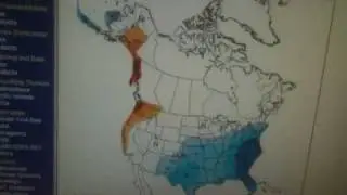 KOMO 4W:  February 4, 2010