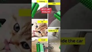 #stickybuddy #lintroller