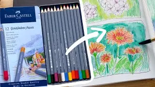 Faber Castell Goldfaber Aqua Watercolor Pencils -  Review and color Swatches