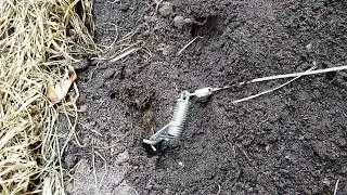 Trapline Sod Mole Set