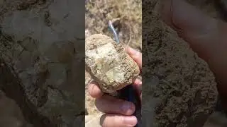 kalsit avı 4
