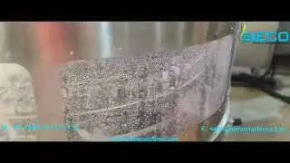 Automatic High Speed Rotary Gripper type Vial Washing  Machine suitable for 2ml to 100ml Vials