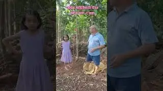 dhoop tree Incense tree (Ailanthus malabaricum) #konkan #guhagar #tree #trees #agriculture #trending