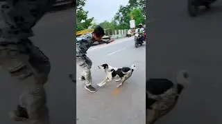 Dog is 😰best 🐶and amazing dog flip #viraljump#dogshorts #dogclothes #animals #youtube