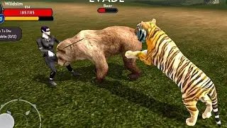 Furious Tiger V's Angry Bear V's Woman Elf / The Tiger Animal Simulator