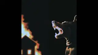 [FREE] DARK LOOPS / SAMPLES - 
