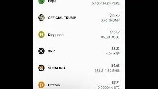 I&rsquo;m a wise investor that lost a whole lot to bitcoin! But I learn from mistakes! FTX CRASH NO JOKE