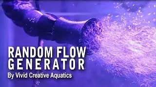 ГЕНЕРАТОР СЛУЧАЙНОГО ПОТОКА от Vivid Creative Aquatics!