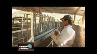 SIEMBRA Y COSECHA TV: Frigor&iacute;fico Caprino
