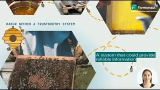 Farmonaut&reg;'s Traceability solution for Honey is going live with Dabur