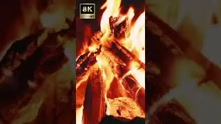 Fireplace & Ambient Scenery 8K short