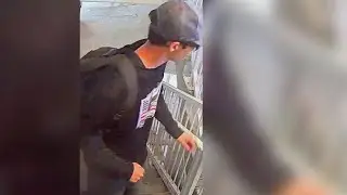 Charlie Kirk shooting suspect arrested following manhunt, President Trump confirms