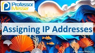 Assigning IP Addresses - CompTIA A+ 220-1201 - 2.6