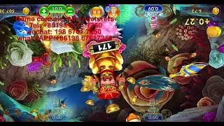 Mobile Game City US Recruitment Agent, Customized Mobile Fishing Game APP,