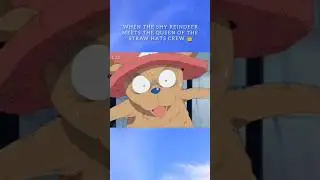 Chopper&rsquo;s First Funny Interaction with Nami 😂 | One Piece #onepiece #Chopper #Nami  #strawhatpirates