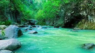 Mindful River Flow &ndash; 10 Hours of ASMR Water for Calm & Anxiety Release