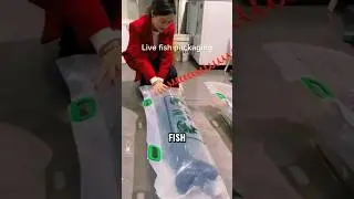 Essential Guide to Packaging Live Fish for Safe Shipping
