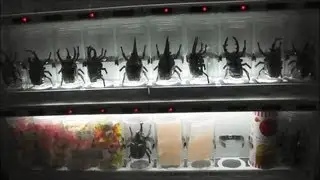 Japanese Vending Machine 