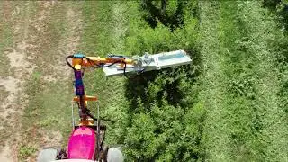 Pruning machine