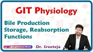 Physiology of Bile : Production, Storage, Reabsorption, Functions : GIT Physiology USMLE Step 1