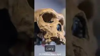 Evolution | The 10 Oldest Human Fossils Ever Found | Zail Facts