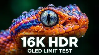 Test Your OLED TV's Limits: 12K HDR 120FPS Cinematic Benchmark