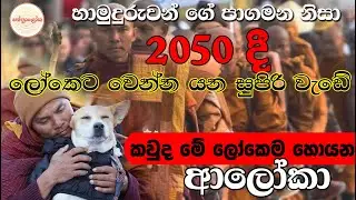 2050 දී සැබෑ වෙන අනාවැකිය​ - Buddhist monks reunite with rescue dog during peace walk