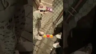 Buni faqat qizla yeya oliwadi toğrimi qizlar😜