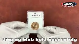 BCW Coin Display Slab Inserts &ndash; Small Golden Dollar