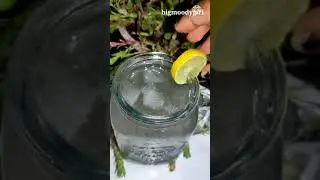 Chia Seed Drink🧋|Shorts|Short|Summer Refreshing Drink|Youtube Stories|youtube Shorts#bigmoodygirl