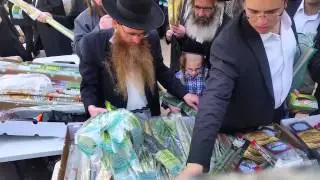 &lsquo;Four-species&rsquo; market in Jerusalem