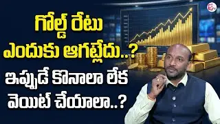 Mahesh : Gold Investment Truth Revealed in Telugu | Complete Future Prediction | SumanTV Shirisha