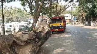 Canal at Paravur near Cochin