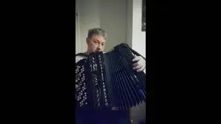 Foksisikermä